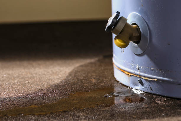 Best Residential water damage restoration  in Mount Carroll, IL