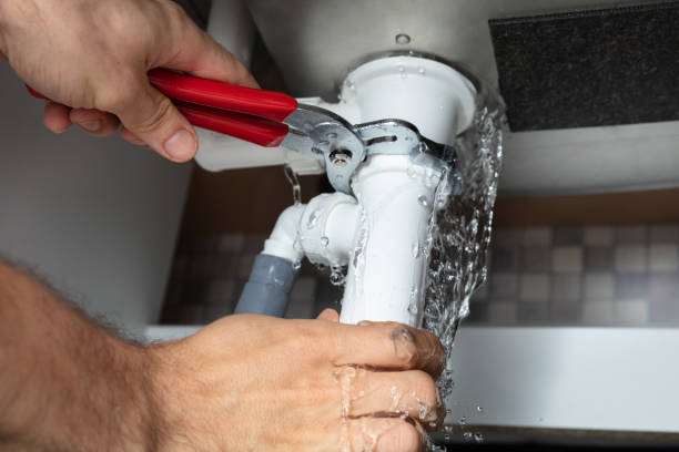 Best Basement water damage restoration  in Mount Carroll, IL