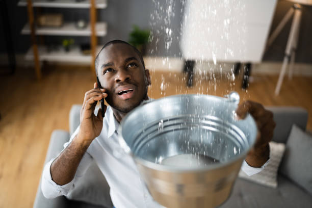 Best Water damage restoration near me  in Mount Carroll, IL