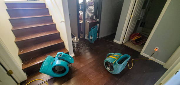 Best Water damage restoration near me  in Mount Carroll, IL
