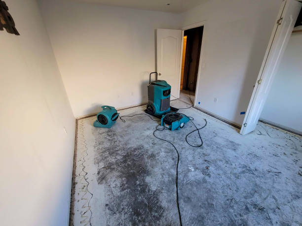 Best Water damage restoration mold remediation  in Mount Carroll, IL