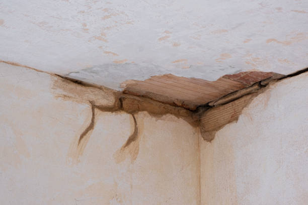 Best Flood restoration services  in Mount Carroll, IL