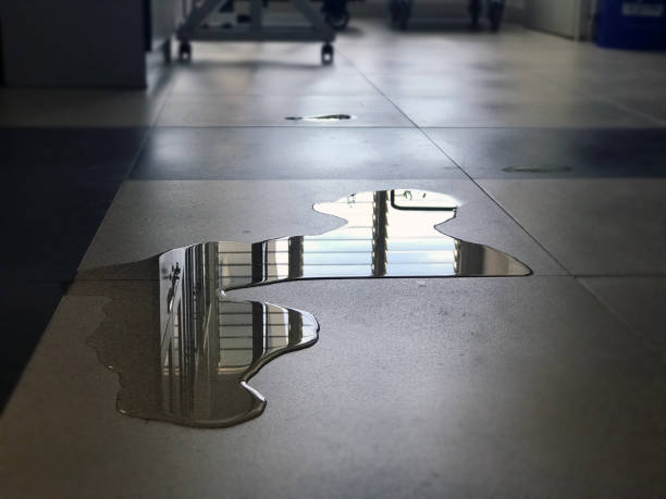 Best 24-hour water damage restoration  in Mount Carroll, IL