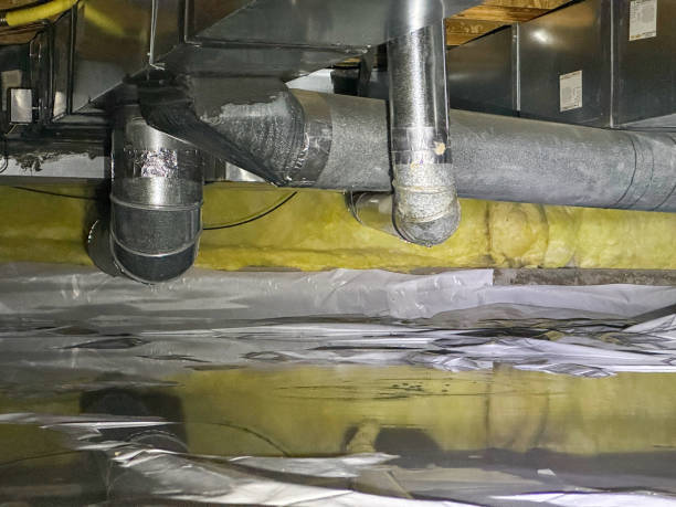 Best Flooded house restoration  in Mount Carroll, IL